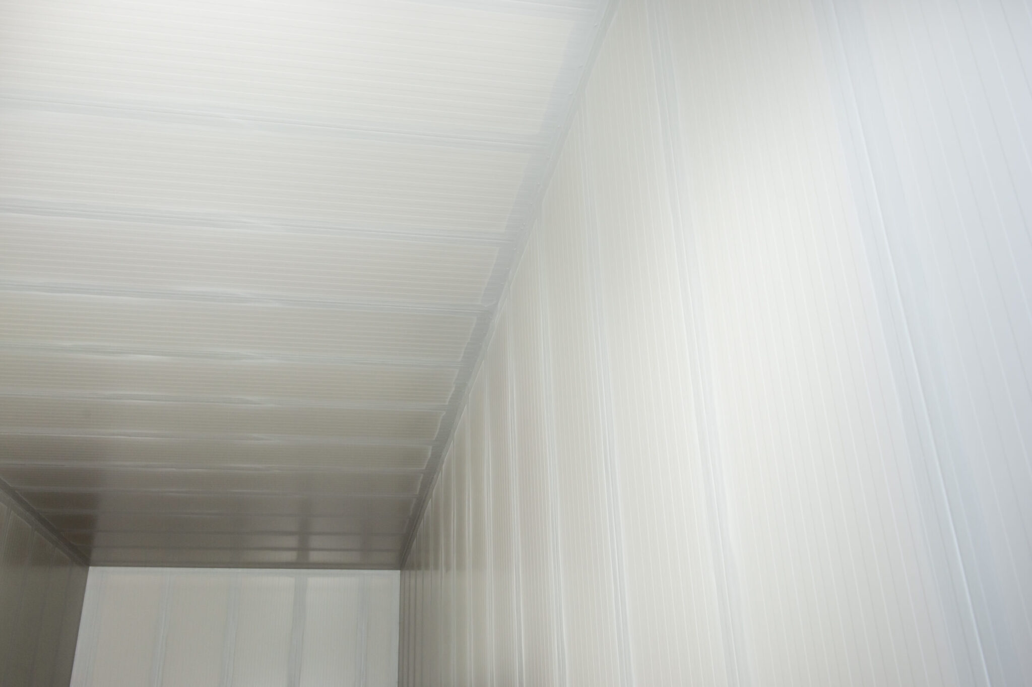 SF2021_RIBBSTYLE_OXY-LOW_ADAM-5-2048x1363